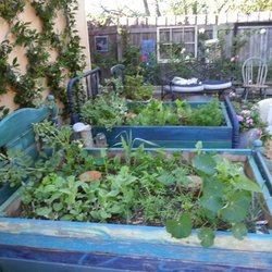 Pretty Pots and Beyond