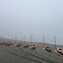 South Coast Tours