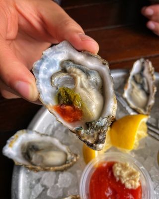 The Dive Oyster Bar by null
