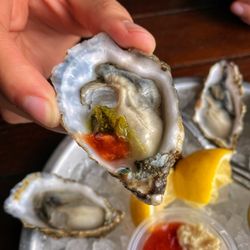 The Dive Oyster Bar - Freshly Shucked Oysters.