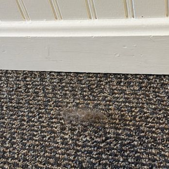 Ocean Edge Resort - Hair ball in foyer of hotel room - Resorts Near Me - Brewster, Massachusetts