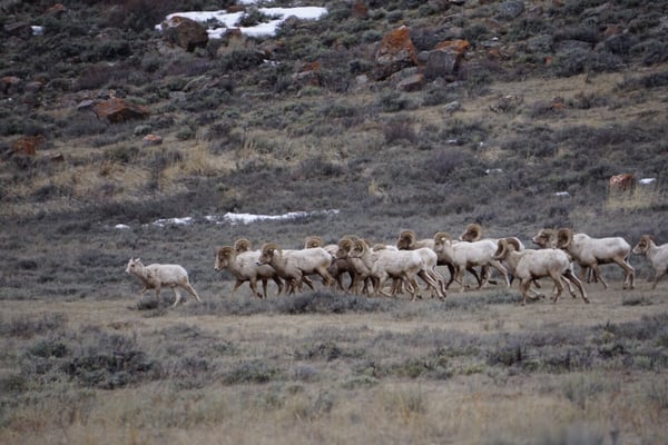 The Hole Hiking Experience by null