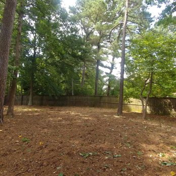 America Tree Service - Site was left cleaned - Tree Services Near Me America Tree Service - Site was left cleaned - Tree Services Near Me