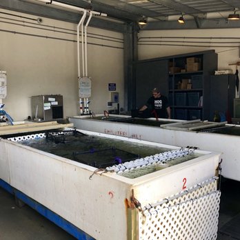 Hog Island Oyster - Where the magic happens - Seafood Near Me - Marshall, California Hog Island Oyster - Where the magic happens - Seafood Near Me - Marshall, California