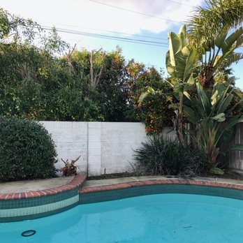 Paez Tree Service - Before. - Tree Services Near Me - Anaheim, California Paez Tree Service - Before. - Tree Services Near Me - Anaheim, California