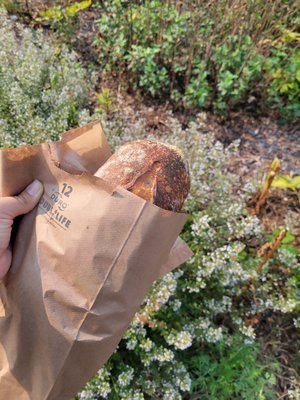 Hungry Ghost Bread by null