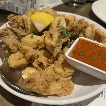 Plateia Mediterranean Kitchen Bar - FRIED Calamari - Bars Near Me - Glenview, Illinois Plateia Mediterranean Kitchen Bar - FRIED Calamari - Bars Near Me - Glenview, Illinois