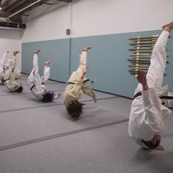 Aikido Yoshokai Of Minnesota