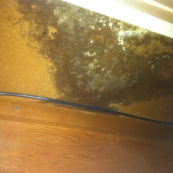 Tiner Properties - Mold from the front of cabinets to the back of them - Property Management Near Me - Carmichael, California