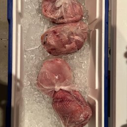 2 bags of small fish and 2 Bags of Red Snapper that we caught charter fishing 2 bags of small fish and 2 Bags of Red Snapper that we caught charter fishing