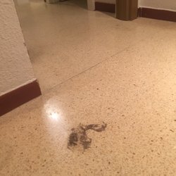 Belle Vue Club - Ist es ein Tier? Ist es ein unerklärliches Ding? Nee, just Dreck oh the Floor