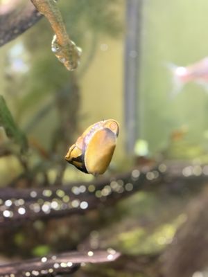 Science Museum of Virginia by null