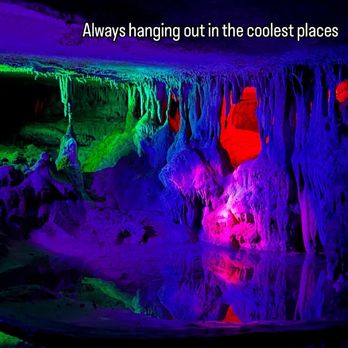 Raccoon Mountain Caverns - Stalactite reflection pool - Tours Near Me - Chattanooga, Tennessee Raccoon Mountain Caverns - Stalactite reflection pool - Tours Near Me - Chattanooga, Tennessee