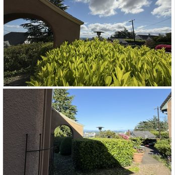 PDX Outdoor Living Landscape - Lawn Services Near Me - Gladstone, Oregon PDX Outdoor Living Landscape - Lawn Services Near Me - Gladstone, Oregon