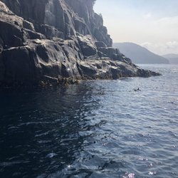 Tasman Island Cruises