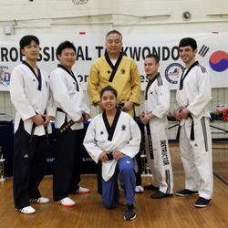 Professional Tae Kwon Do