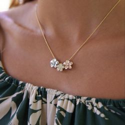 Plumeria Collection