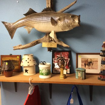 lighthouse bait and tackle