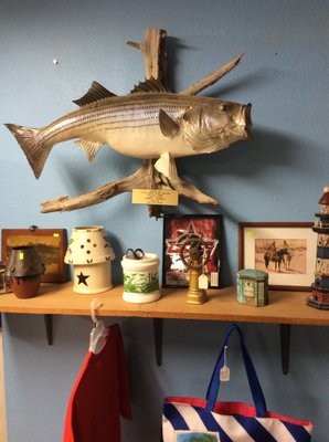 Lighthouse Bait & Tackle