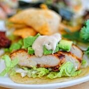 Cilantro Mexican Grill