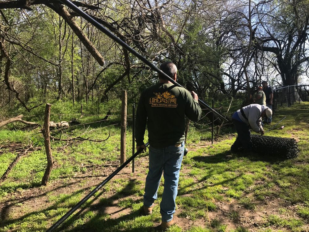 Slide of Lone Star Tree & Roofing Services