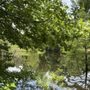 Photo of AGFC Forrest L Wood Crowley's Ridge Nature Center