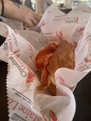 Dirtbag Ales Brewery & Taproom by null