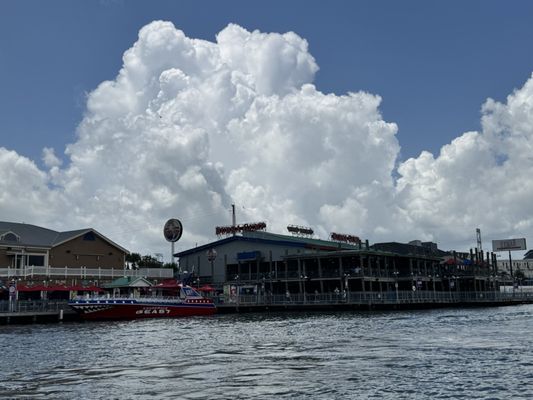 Bubba Gump Shrimp Co. by null