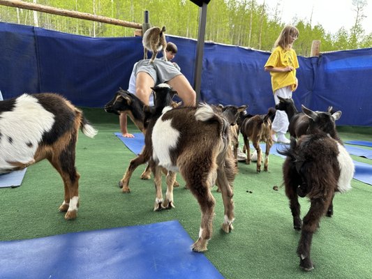 Vail Stables by null