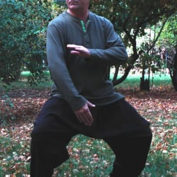 Center States Tai Chi Chuan - Shoulder Strike