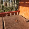 Amazing Views Cabin Rentals gift card