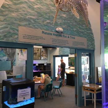 Manatee Center - Children's Museums Near Me - Fort Pierce, Florida