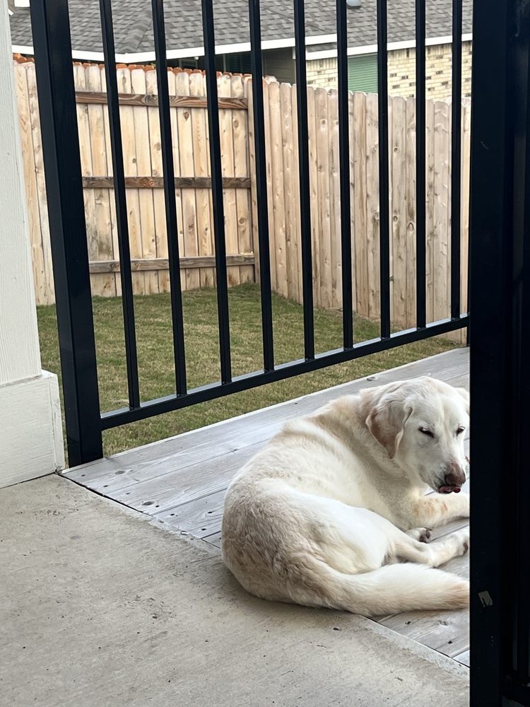 Comanche Trail Veterinary Center Image