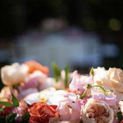 XO Bloom - Miracle #4