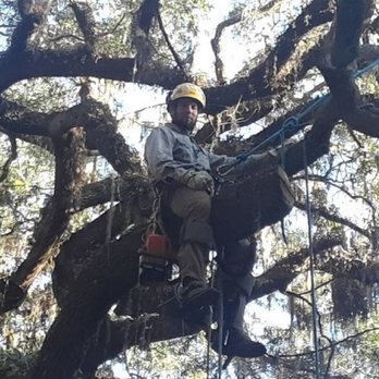 Oak Hinge Enterprise - Tree Services Near Me Oak Hinge Enterprise - Tree Services Near Me