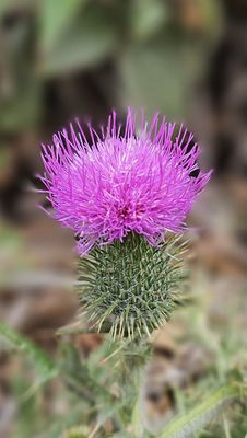 Sue-meg State Park by null