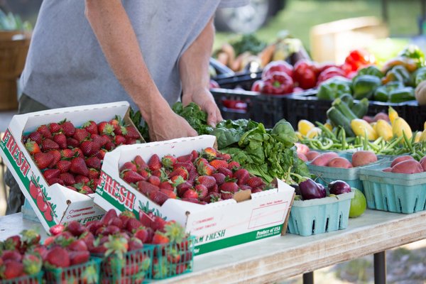 Orange Park Farmers' & Arts Market by null