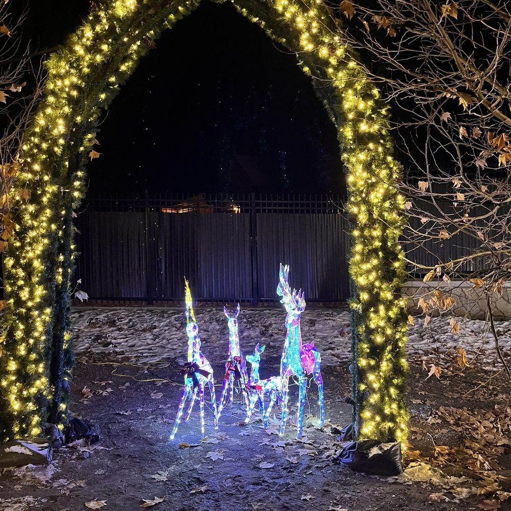 Zoo lights Zoo lights
