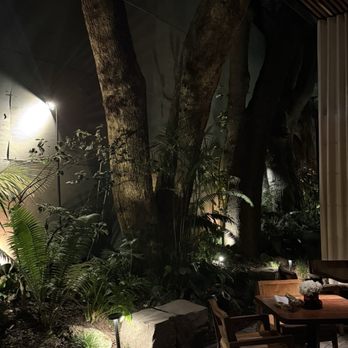 Pujol - Outside - Mexican Near Me - Ciudad de México, DIF