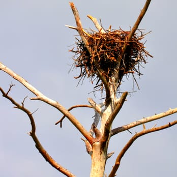 Point Lookout State Park - Landmarks & Historical Buildings Near Me - Scotland, Maryland