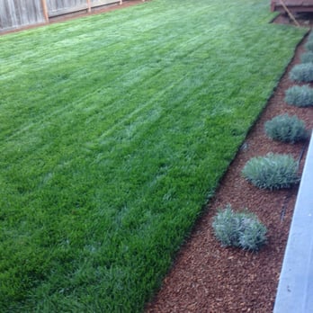 Samayoa Landscaping Berkeley - Landscaping Near Me Samayoa Landscaping Berkeley - Landscaping Near Me