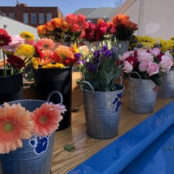 Scarlet Begonia’s Flower Truck
