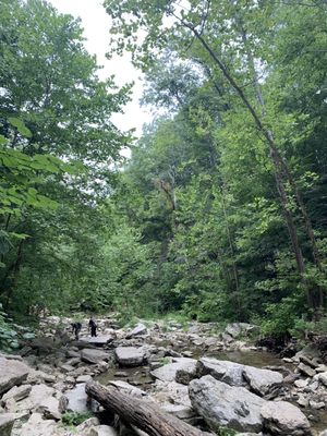 McCormick's Creek State Park by null