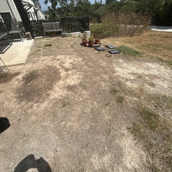 Southern Turf Co. - Artificial Turf Near Me - Austin, Texas Southern Turf Co. - Artificial Turf Near Me - Austin, Texas