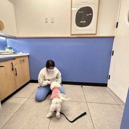 Happy visit so Chloe's association at clinic can make her feel more safe Happy visit so Chloe's association at clinic can make her feel more safe