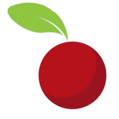 Cranberry Mechanical Contractors Logo