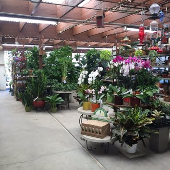International Garden Center - Nurseries & Gardening Near Me - El Segundo, California International Garden Center - Nurseries & Gardening Near Me - El Segundo, California