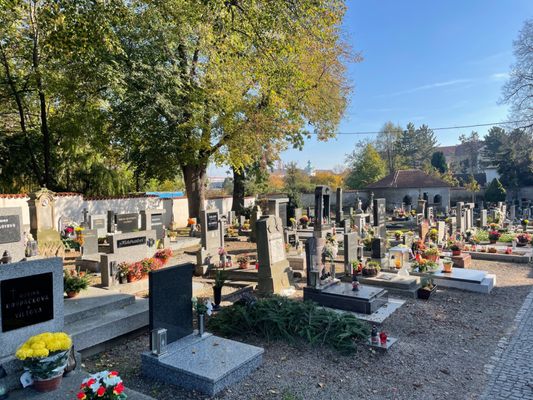 Sedlec Ossuary by null