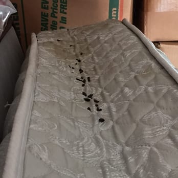U-Stor-It Mini-Storage - Rat poop and pee on my mattress. - Self Storage Near Me - Atascadero, California U-Stor-It Mini-Storage - Rat poop and pee on my mattress. - Self Storage Near Me - Atascadero, California