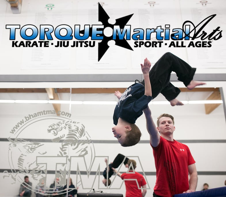Torque Martial Arts Image